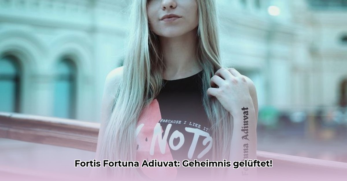 fortis-fortuna-adiuvat-betekenis